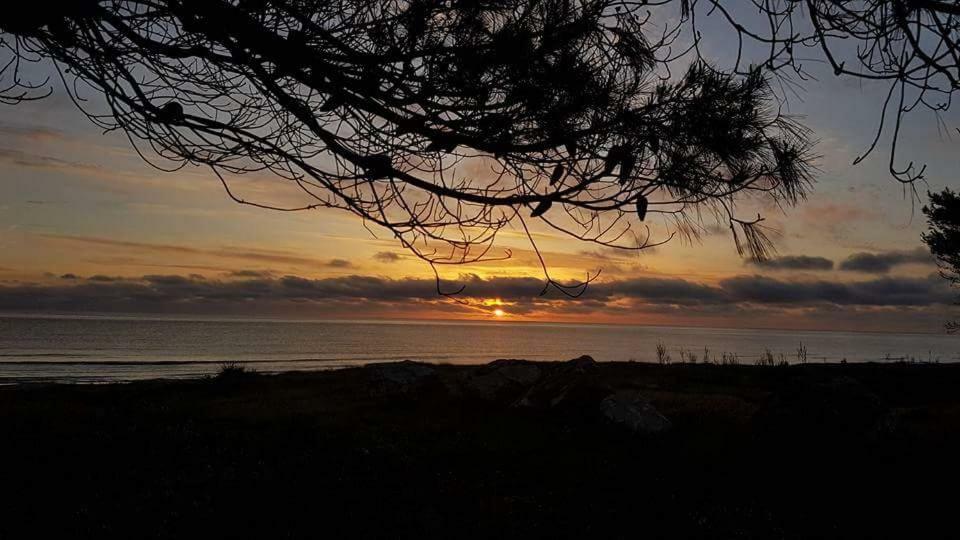 Corallo Casa Vacanza Villaputzu Eksteriør bilde